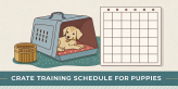 crate training schedule