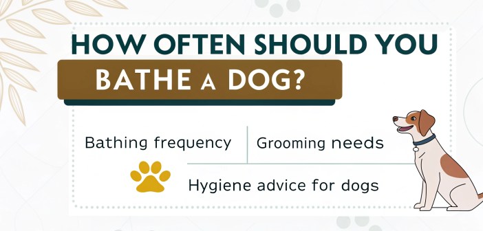 How Often Should You Bathe a Dog?