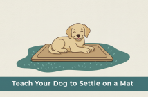 Teach Your Dog